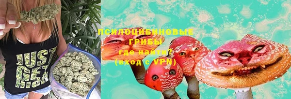 скорость Пестово