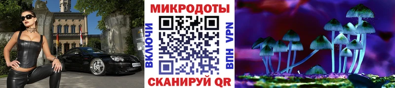 где купить Дербент Псилоцибиновые грибы Psilocybine cubensis