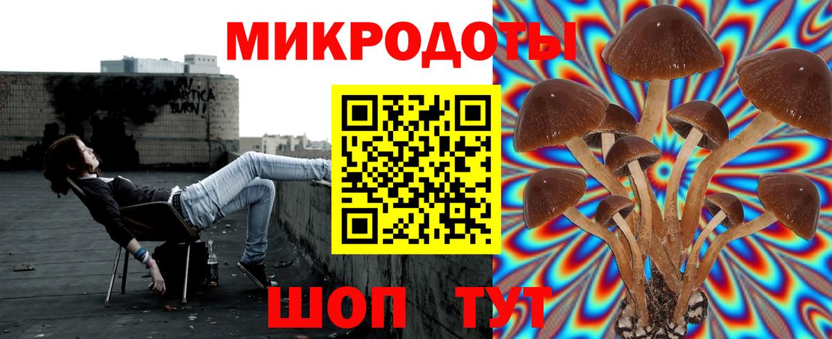 Галлюциногенные грибы Psilocybe  Вход с VPN  Дербент  Галлюциногенные грибы ЛСД 
