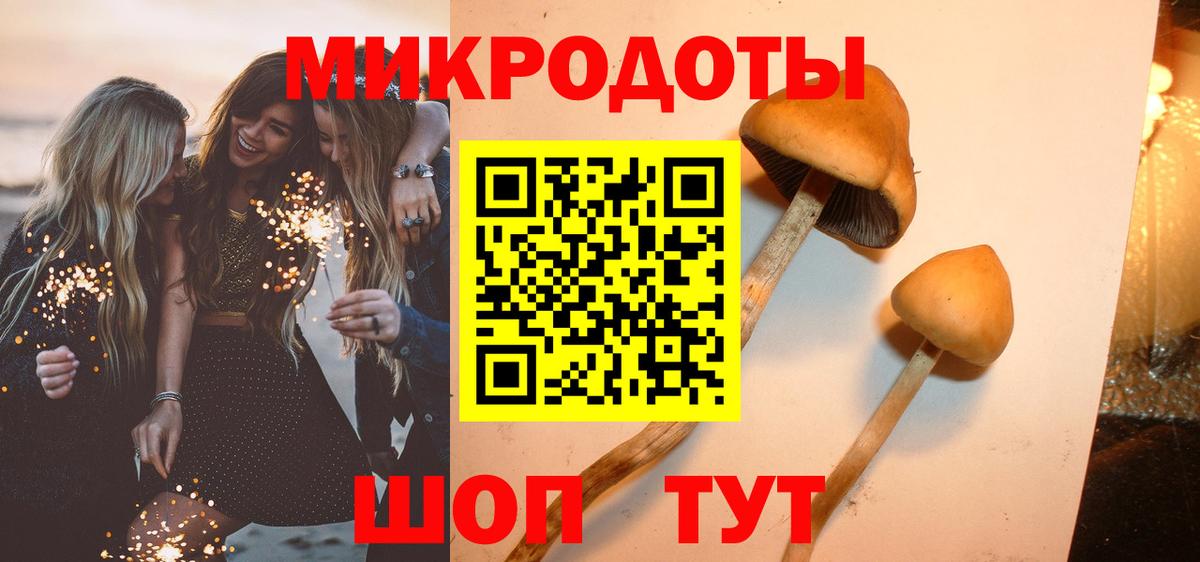 Псилоцибиновые грибы MAGIC MUSHROOMS Дербент